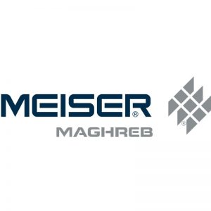 Meiser logo